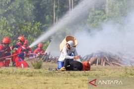 Otorita IKN gunakan IKNOW untuk antisipasi karhutla saat kemarau