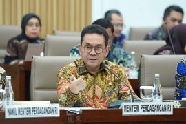 IP-CEPA to boost Indonesia's exports to Peru to US$745 mln: Minister