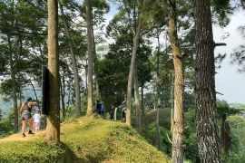 10 tempat treking di Bogor yang wajib dikunjungi, cocok untuk pemula