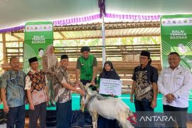 Baznas angkat ekonomi mustahik Wonogiri dengan berternak kambing perah