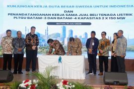 Batam tambah pasokan listrik 300 MW dukung investasi