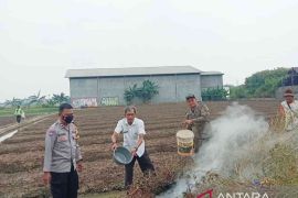Asap hasil bakar sampah tingkatkan risiko gangguan kesehatan