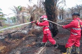 Balai Dalkarhut kerahkan Manggala Agni padamkan karhutla di Nagan Raya