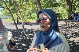 PTK memperluas penerapan "green shipping" lewat panel surya kapal