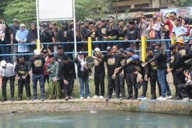 Festival Ciomas tebar 20 ribu ikan untuk rawat Sungai Cibanten