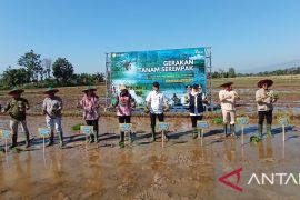 Kementan percepat tanam Oplah dan CSR demi tingkatkan produksi pangan