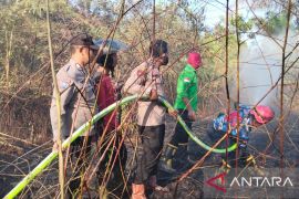 Pemkab Penajam perkuat kewaspadaan terhadap ancaman kebakaran saat kemarau
