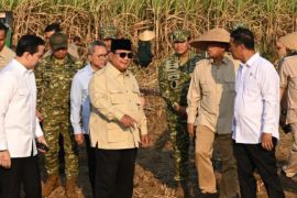 Food security requires legal certainty over land rights : Minister