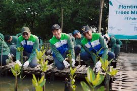 Patra Jasa tanam 1.000 mangrove, hadirkan harapan baru bagi ketahanan pesisir Tangerang