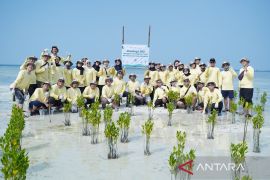 Jaga Pesisir, PHI tanam 1.500 mangrove dan Lamun perkuat iklim