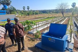 BBWS NT II membantu petani di Kupang melalui program JIAT