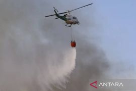 1.200 warga mengungsi akibat kebakaran hutan di Spanyol