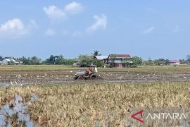 Bupati Sidrap kerahkan mobil tangki mengairi sawah