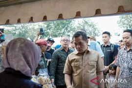 Pemkab Karawang hadirkan ratusan UMKM dalam bazar peringati Harkopnas