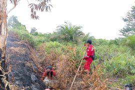 Asap masih ada, Manggala Agni terkendala sumber air padamkan karhutla di Bengkalis