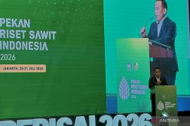 PalmCo: Penguatan kelembagaan petani pacu budidaya sawit berkelanjutan