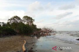 Aceh Timur minta pemprov bantu tangani pendangkalan muara