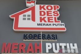 Akademisi: KDKMP harus mampu jaga ketersediaan barang dan harga