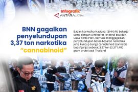 BNN gagalkan penyelundupan 3,37 ton narkotika "cannabinoid"