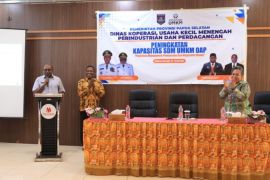 Pemprov Papua Selatan dorong UMKM mampu berinovasi