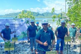 Astra Agro dorong pelestarian pesisir melalui penanaman bakau di Pasangkayu