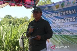 Pemkab Kuningan dampingi petani optimalkan penanaman tebu pada 2026