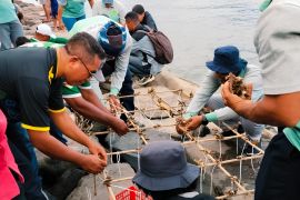Kemenag Flores Timur menanam 450 fragmen karang memperkuat ekoteologi