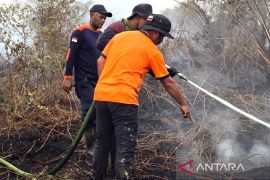 BPBD:  Karhutla meluas di tiga kecamatan di Aceh Barat