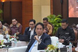 Indonesia to issue US$1 billion debut Panda Bond on July 23