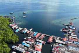 Kaltim optimalkan daya tarik hiu paus di destinasi wisata Pulau Miang