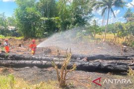 Karhutla di Tapin dan HSS padam, BNPB minta patroli diperketat