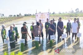 Sistem Air Polder Alabio jamin pasokan air ke area persawahan HSU