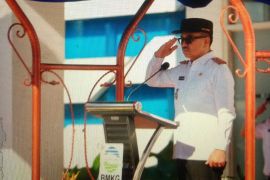 Sekda Sulsel tekankan pentingnya kolaborasi perkuat mitigasi bencana