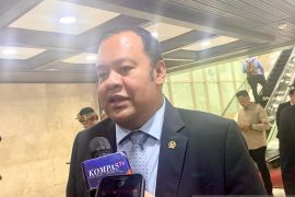 Komisi XI DPR: PFII akan dipimpin gubernur, penunjukan dari Presiden