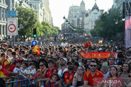 Selebrasi kemenangan Spanyol diwarnai penangkapan tujuh orang
