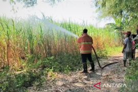 Damkar Magetan minta warga waspadai potensi karhutla saat kemarau