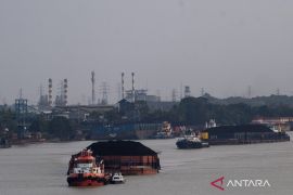 Ekonom: DSI berpotensi beri dampak penguatan nilai tukar rupiah