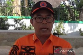 BPBD HSS tangani total sembilan hektare luasan terdampak Karhutla