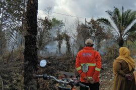 Karhutla berhari-hari, Wabup Kotim minta kepedulian masyarakat cegah kabut asap