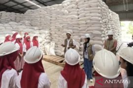 Bulog Jambi kuasai 10.955 ton CBP cukup untuk empat bulan