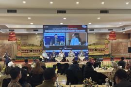 Akademisi-DPR dukung Danantara rampingkan BUMN