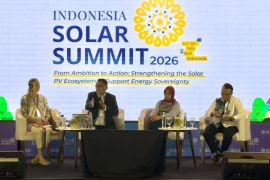 Target 100 GW dan Bottleneck Energi Surya Indonesia