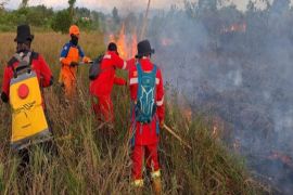 BPBD Kalsel sigap padamkan karhutla di sekitar kompleks perkantoran gubernur