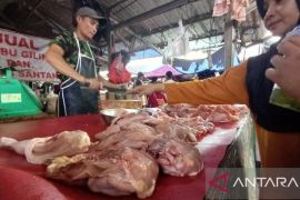 Babel tambah stok 80 ton turunkan harga daging ayam