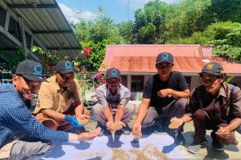 Pakan alternatif perkuat usaha pembudidaya ikan di Kandis