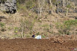 DPRD Gunungkidul ajukan Raperda perlindungan dan pemberdayaan petani