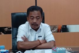 Bulog Papua serap 398.077 kilo gram jagung petani pada semester pertama 2026
