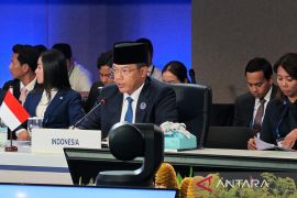 Indonesia serukan perluasan inovasi kerja sama ASEAN Plus Three