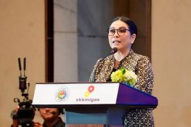 INSA dan SKK Migas menyelaraskan kebutuhan kapal lepas pantai