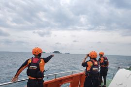 SAR cari penumpang kapal roro diduga terjatuh di perairan Bintan